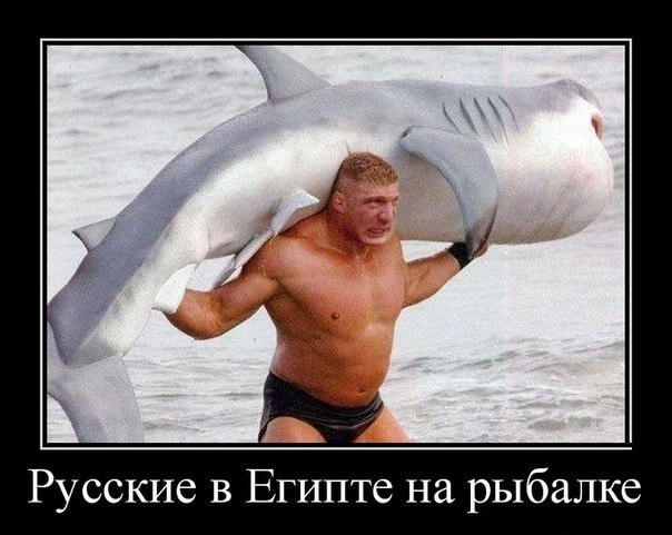   ,  : <a href=