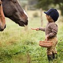  Raya, , 55  -  30  2015    