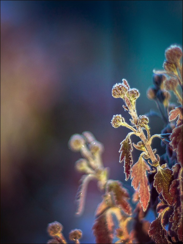   -    - 5  2015  01:21 - 6