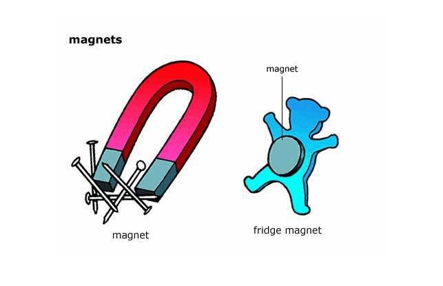    bow, scale, trunk, bridge, rack, key, magnet, overlap.    ... - 7