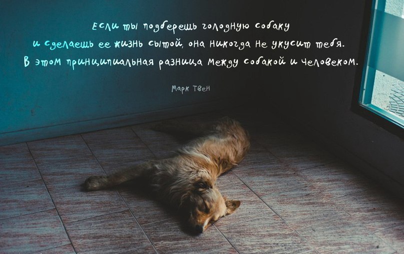   - 29  2015  23:01