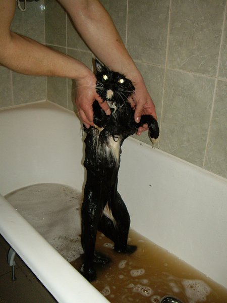 :   ))) -  , 58 , -