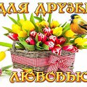 ���� �������, ��������� - ��������� 15 ����� 2015 � ������ ������ ��������