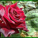���� ������, ����� - ��������� 12 ����� 2015 � ������ ������ ��������
