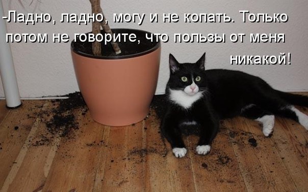   :3 - 7  2015  21:54