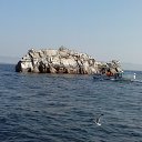 ���� ������� �� ������� �������