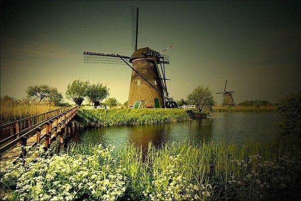 ��������, ������� ������������ ����� �������, ������ ��������� �� ��� �� �����, � �������� ...