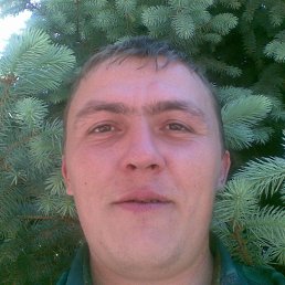 �����, ����������, 45 ���