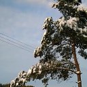 ���� Nattis, ������, 58 ��� - ��������� 9 ������� 2015 � ������ ������������ 4�4 - ���� ����� ��ѻ