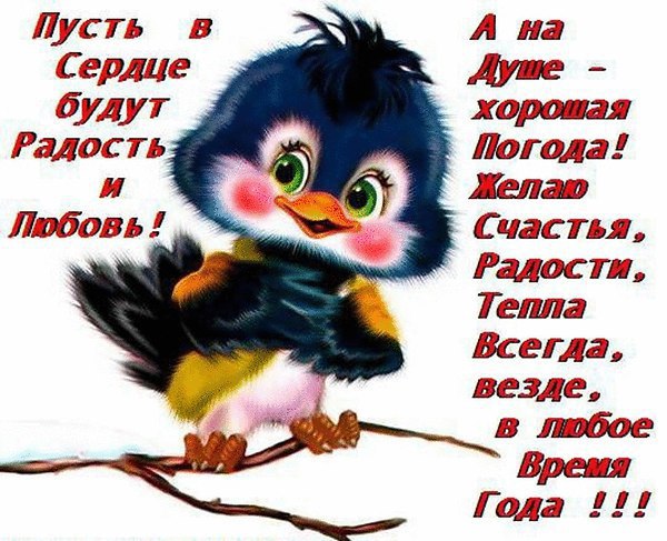    :  ,      , , ,      ... - 2