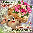 ���� �������, ������ - ��������� 16 ������ 2015 � ������ �������� ��������
