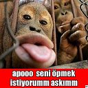 ���� Leon, ������ - ��������� 8 ������� 2015 � ������ �Umor!�