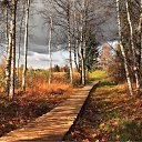 ���� Doc, ���� - ��������� 21 ������ 2015 � ������ ���� ����������