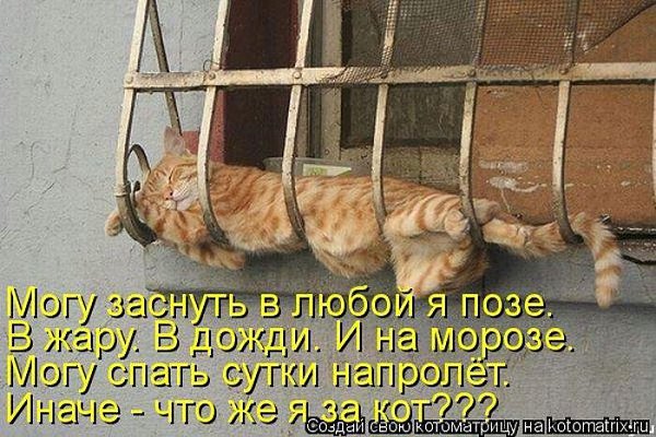 K���� K����� - 16 ������� 2015 � 15:45