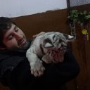  Vaso, , 37  -  14  2014    