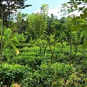 ���� ����, ����������� - ��������� 13 ������ 2015 � ������ ���� �����