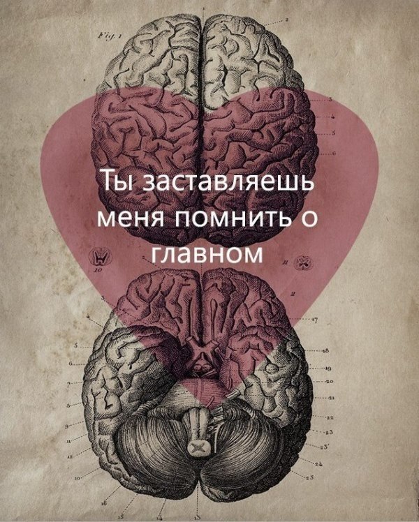   - 17  2015  14:41 - 3