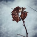 ���� ���������, ��������, 34 ���� - ��������� 8 ������ 2015 � ������ ����� 2�