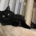 ���� ������, �����������, 58 ��� - ��������� 23 ������� 2015 � ������ ���� ����������