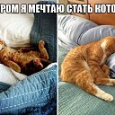 ���� ����, �������, 51 ��� - ��������� 8 ������� 2015 � ������ ������ ��������
