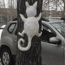 ��������)) �� ������� ���� ����������