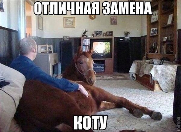 Если понравилось жми Нравиться и вступай в группу! fotostrana.ru/public/320769