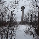���� Evgeniy, �����������, 81 ��� - ��������� 15 ������� 2015 � ������ ���� ����������