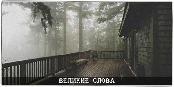 Время от времени человеку не мешает побыть в тишине и одиночестве — это имеет свою прелесть. © ...