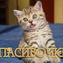 ���� �����, ���������, 76 ��� - ��������� 6 ������ 2015 � ������ �������� ��������