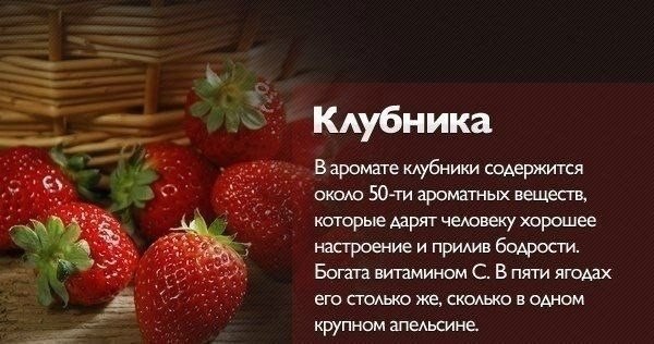    .#@fitness.blog - 5