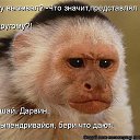  ,  -  4  2015    