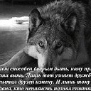  Rok76i, -, 49  -  24  2014   
