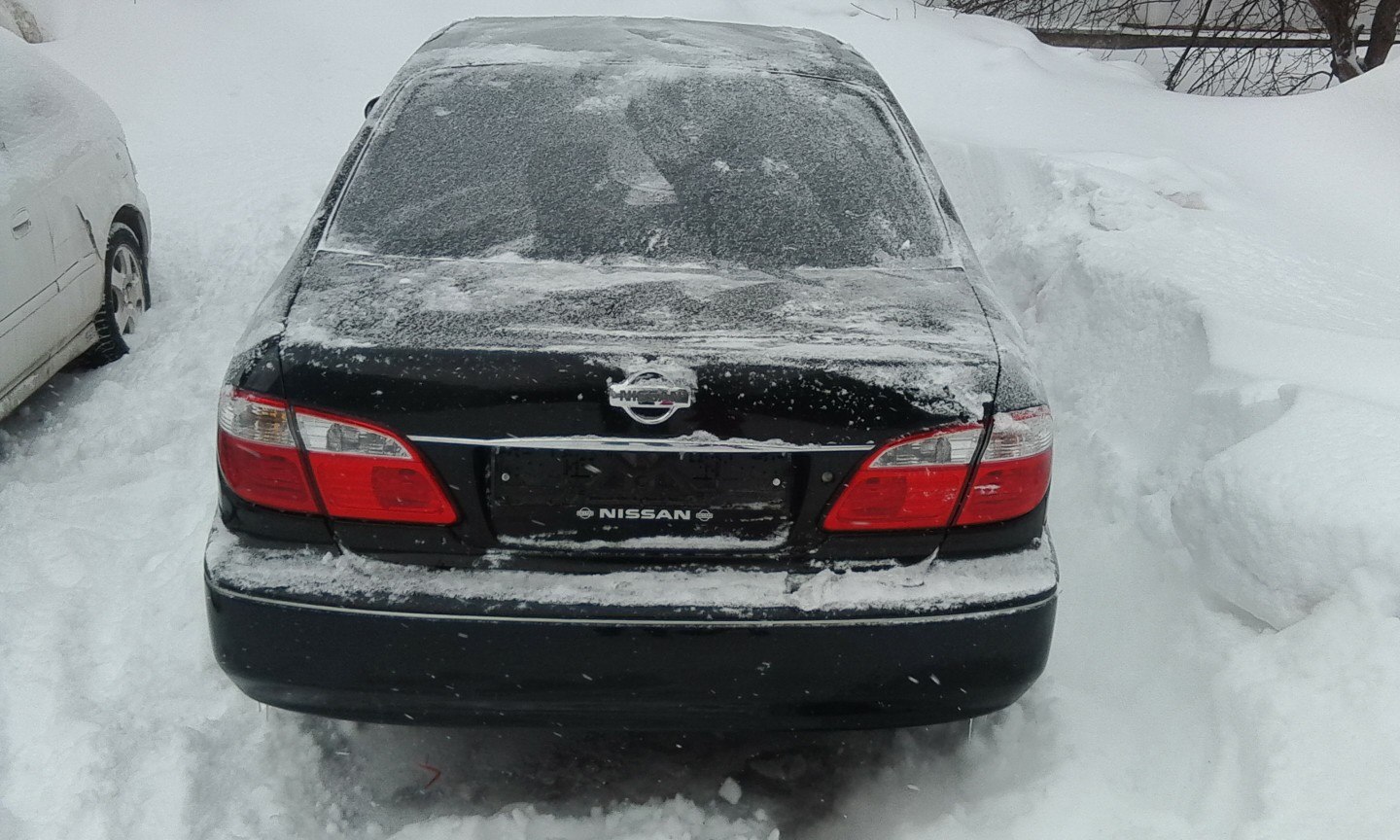  Nissan MAXIMA 2002   (250000 ),        ... - 2