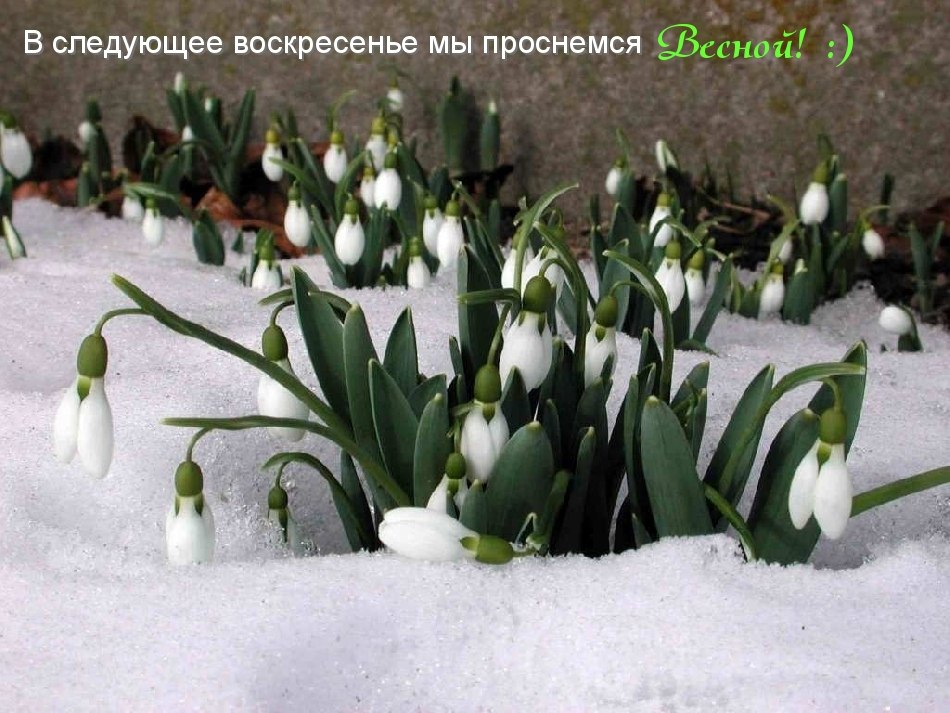  - 24  2015  01:11