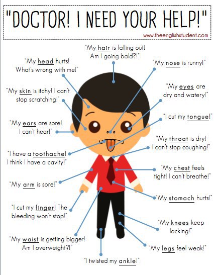 English Health Vocabulary List and Dialogues.How to say you are illI'm ill.I feel really ...