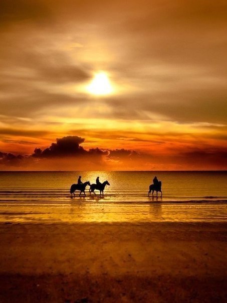 Психология отношений - 22 марта 2015 в 19:32