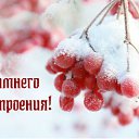���� ��������, �������������, 51 ��� - ��������� 16 ������� 2015 � ������ �������� ��������