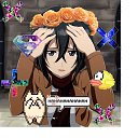 ���� ���, ����� ������� - ��������� 31 ����� 2015 � ������ ������ ��������