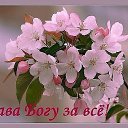 ���� ��������, ��������, 56 ��� - ��������� 16 ������ 2015 � ������ ������ ��������