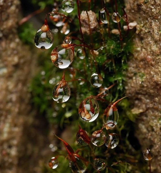 ,      ,        . ... - 3