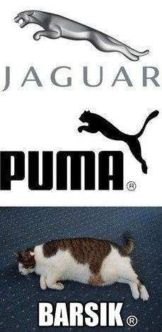 ,  .