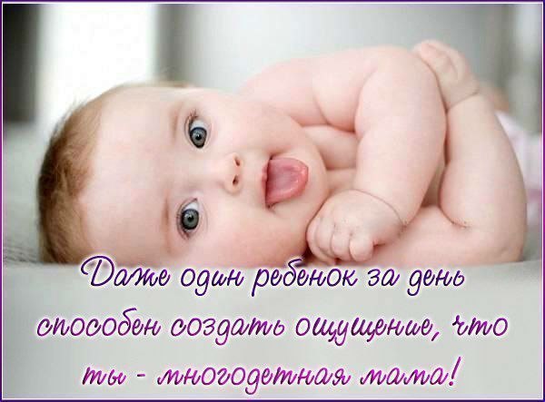 Счастливая семья - 8 января 2015 в 22:05