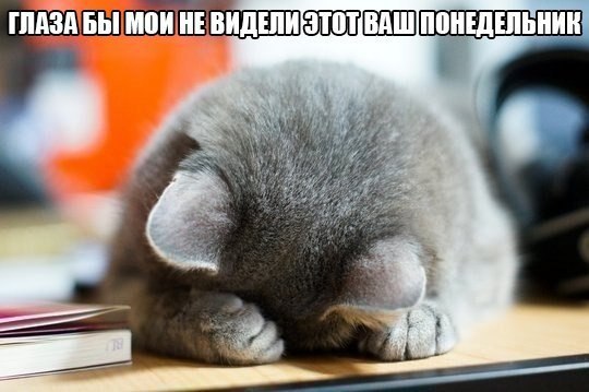  -  - 19  2015  05:23