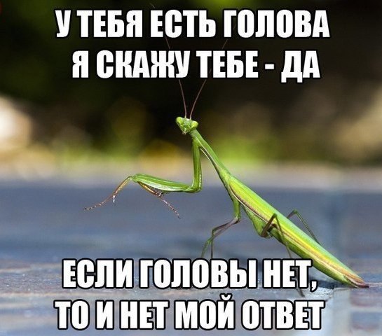   - 27  2014  21:16