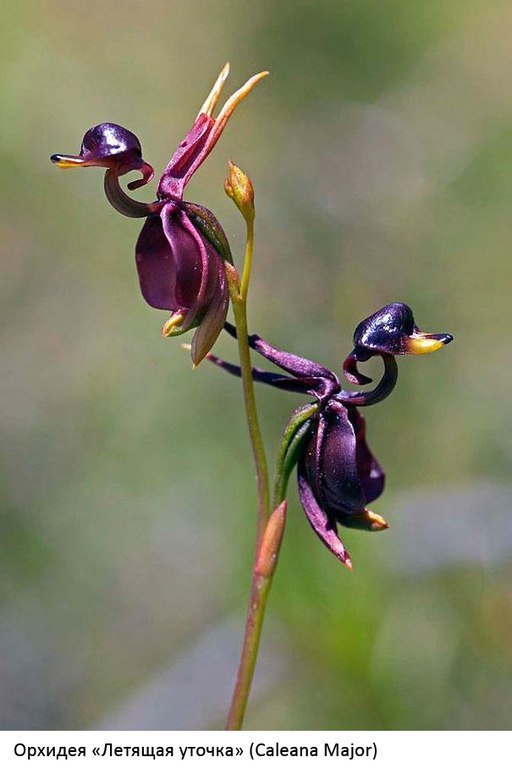   .      .     ... - 4