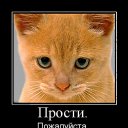 ���� �����&copy;, ������, 48 ��� - ��������� 26 ������� 2014 � ������ ������ ��������