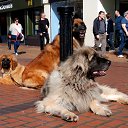 ���� Sveta, ���� - ��������� 7 ������ 2015 � ������ ������� 2015.����.�