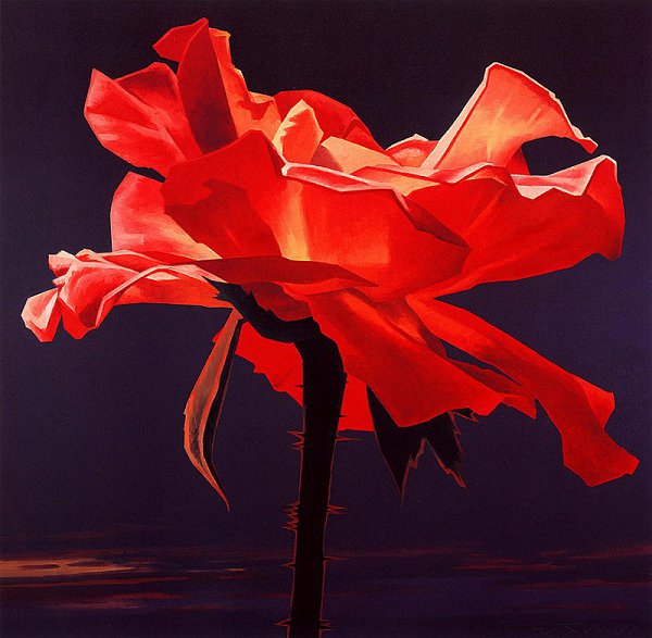 Varios Artists - 378