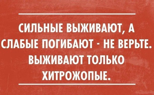   - 20  2015  11:32