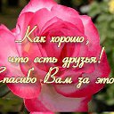 ���� *-* ����� *-*, ������ - ��������� 21 ����� 2015 � ������ ������ ��������